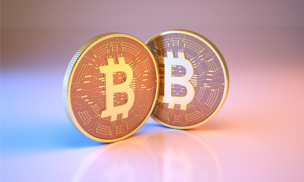 Who Owns the Most Bitcoin and Why It Matters in 2026